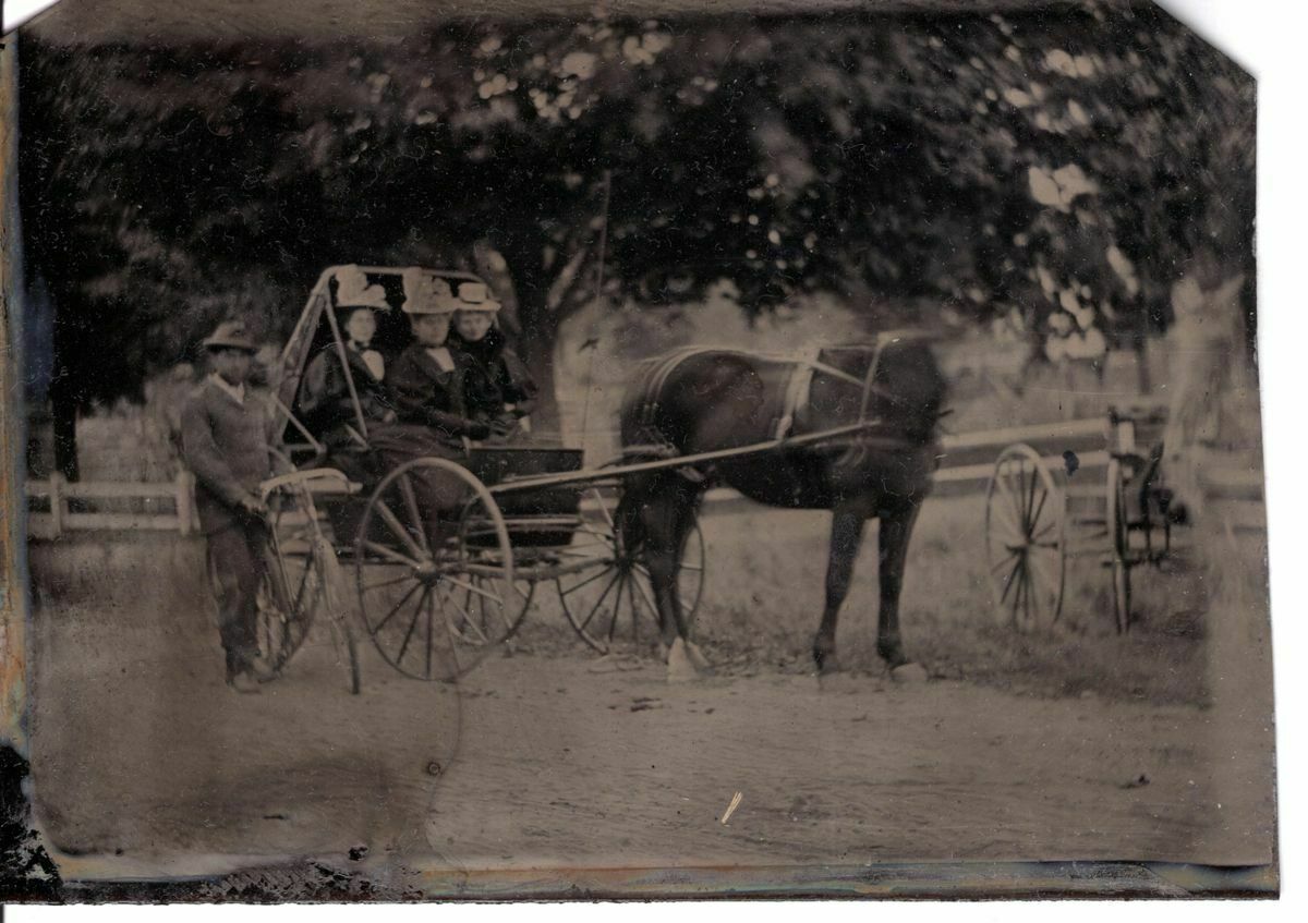 Bicycle Versus Carriage, 1870s