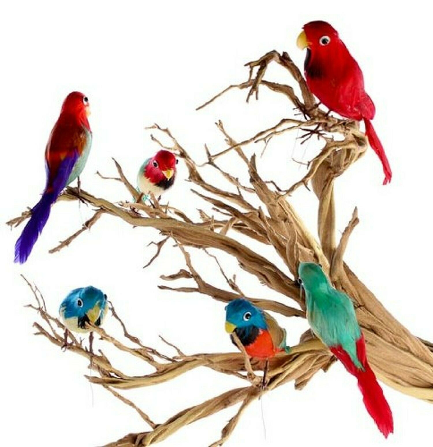 Package Of 6 Bright Color Tropical 6" Feathered Artificial Parrots