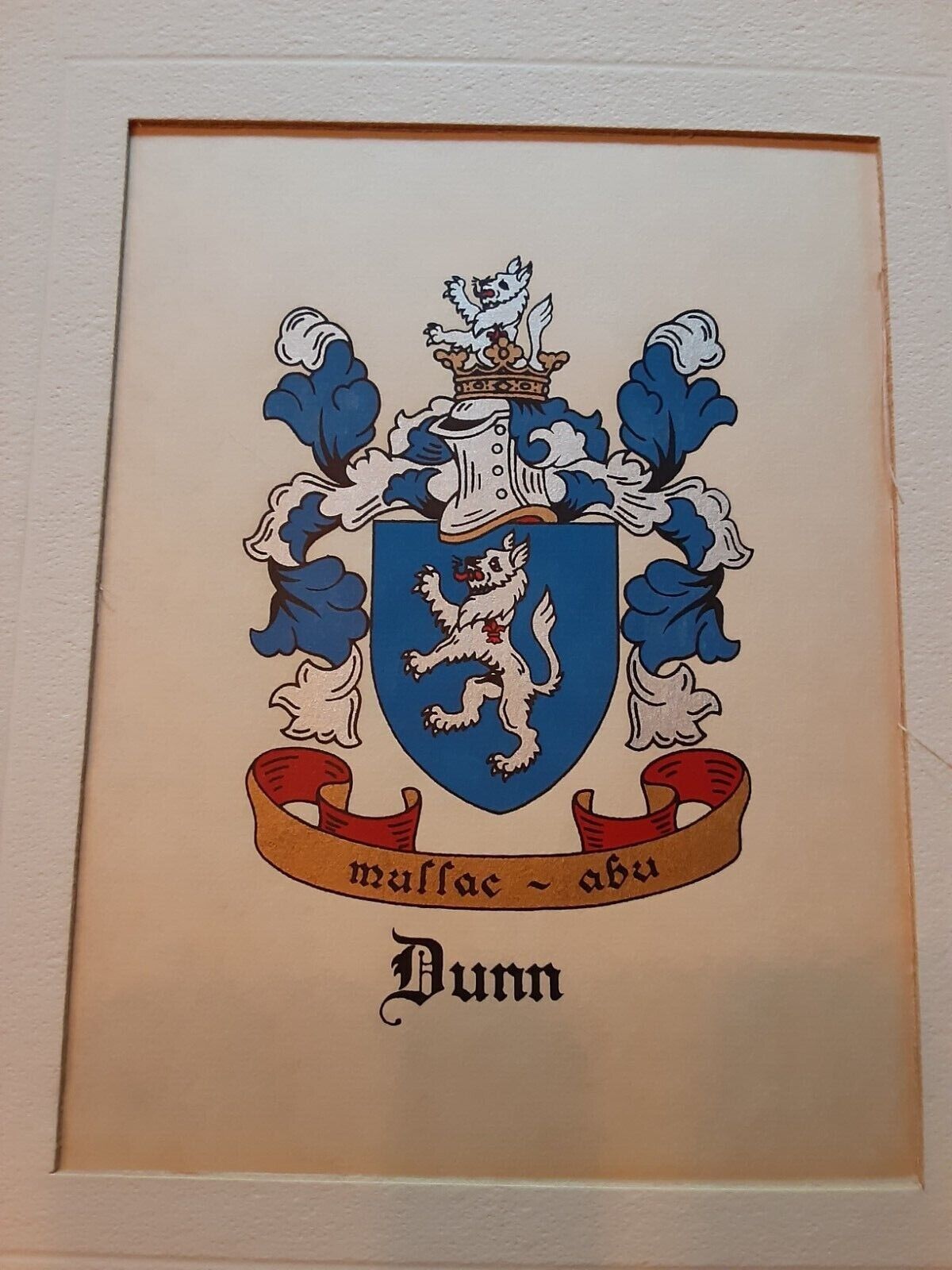 Dunn Family - Coat Of Arms - Family Crest 8 X 10