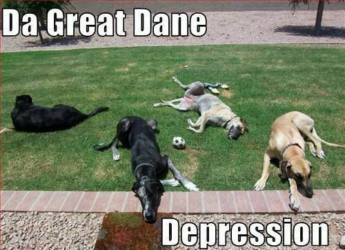 Funny Dog Great Dane Depression Refrigerator Tool Box Magnet Gift Card Idea